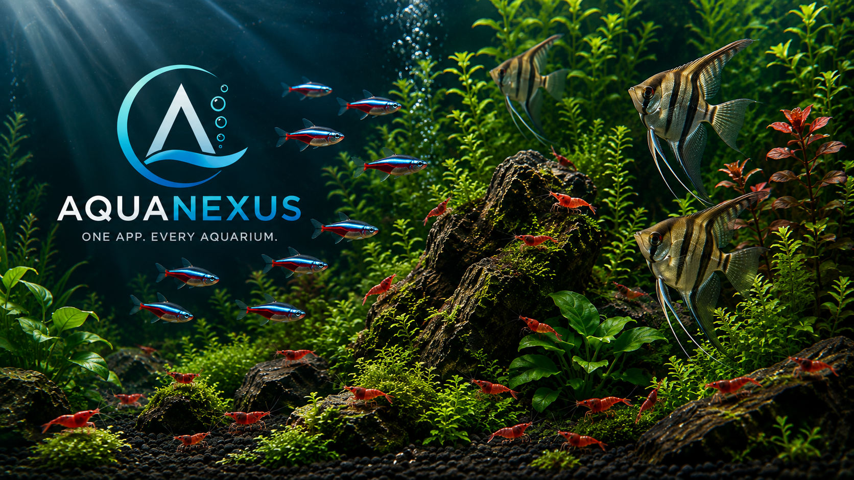 AquaNexus brand artwork showing a thriving aquarium and the logo